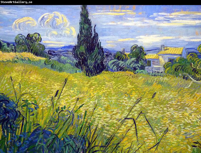 Vincent Van Gogh Landscape with Green Corn